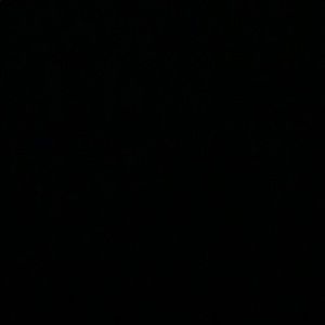 Meet your Posher, Hailey